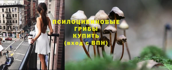 ALPHA PVP Иннополис