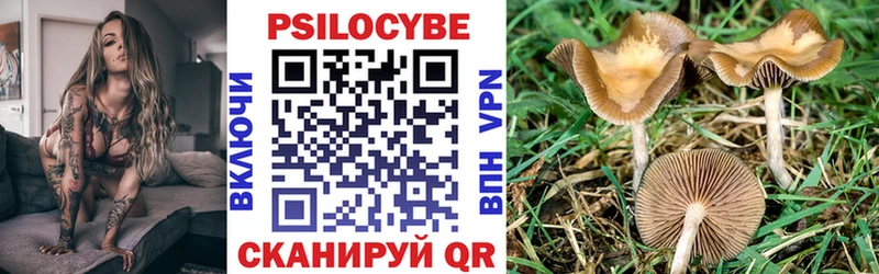 Псилоцибиновые грибы мухоморы  Купить закладки  Жуков 